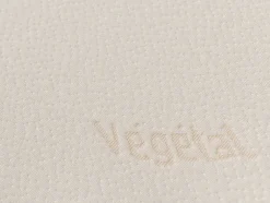 Ergonomisch Hoofdkussen Met Vormgeheugen Dodo Vegetal 60 X 60 Cm