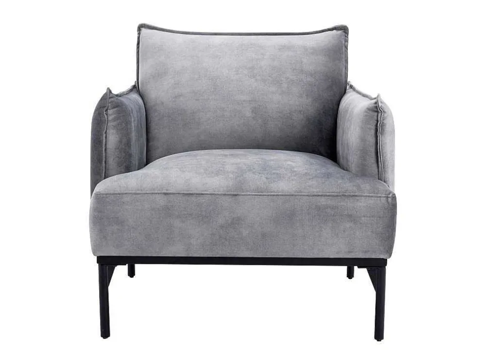 Fauteuil Grijs Fluweel Joel