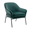 Fauteuil Van Spargroen Velours Cerita