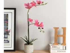 Kunstorchidee Met Pot Van Cement - H55 X B30 Cm - Roze - Riosane