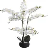 Kunstorchidee Met Pot Van Cement - H65 X B54 Cm - Wit - Tara