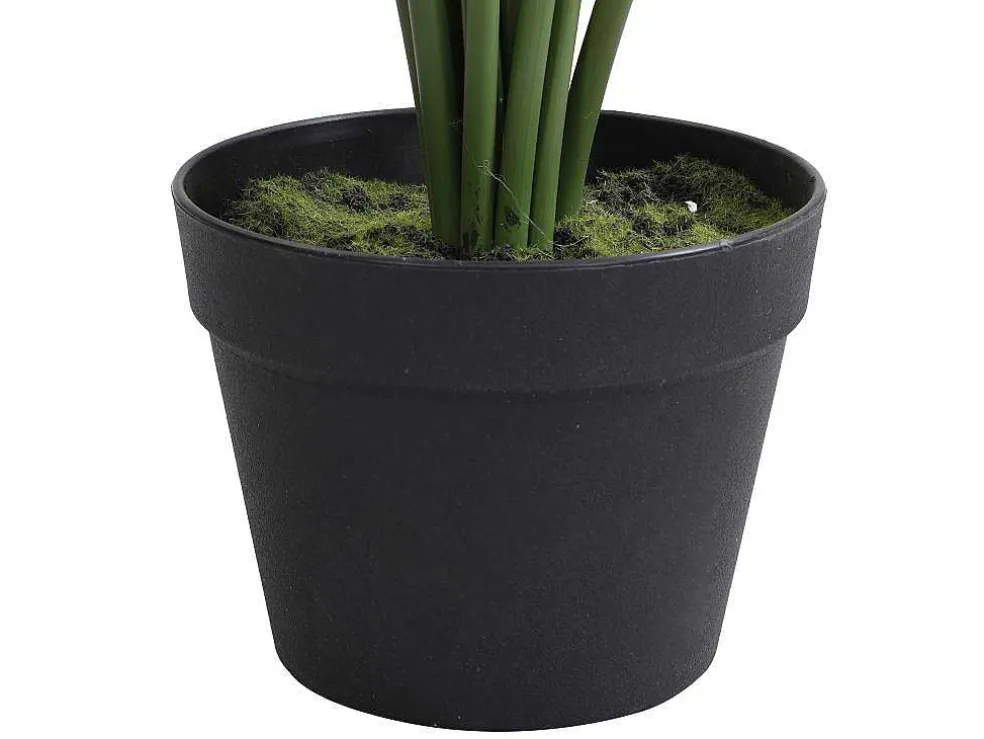 Kunstpalmboom Met Pot - H160 - Palmita