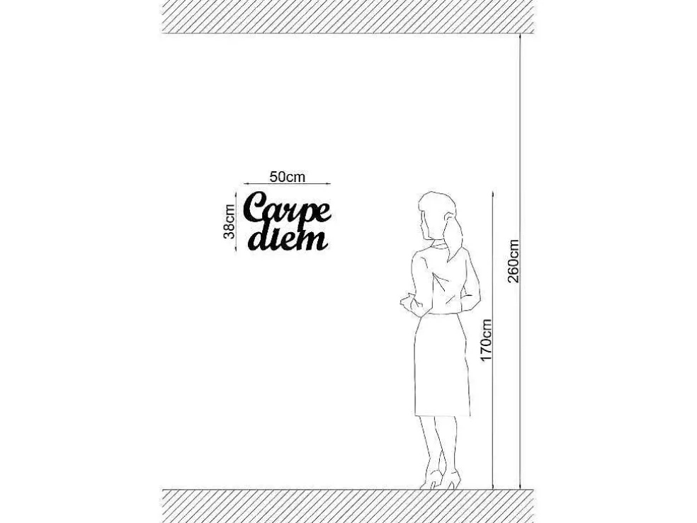 Metalen Decoratie Carpediem, Zwart, 50X1,5X38 Cm, Epikasa
