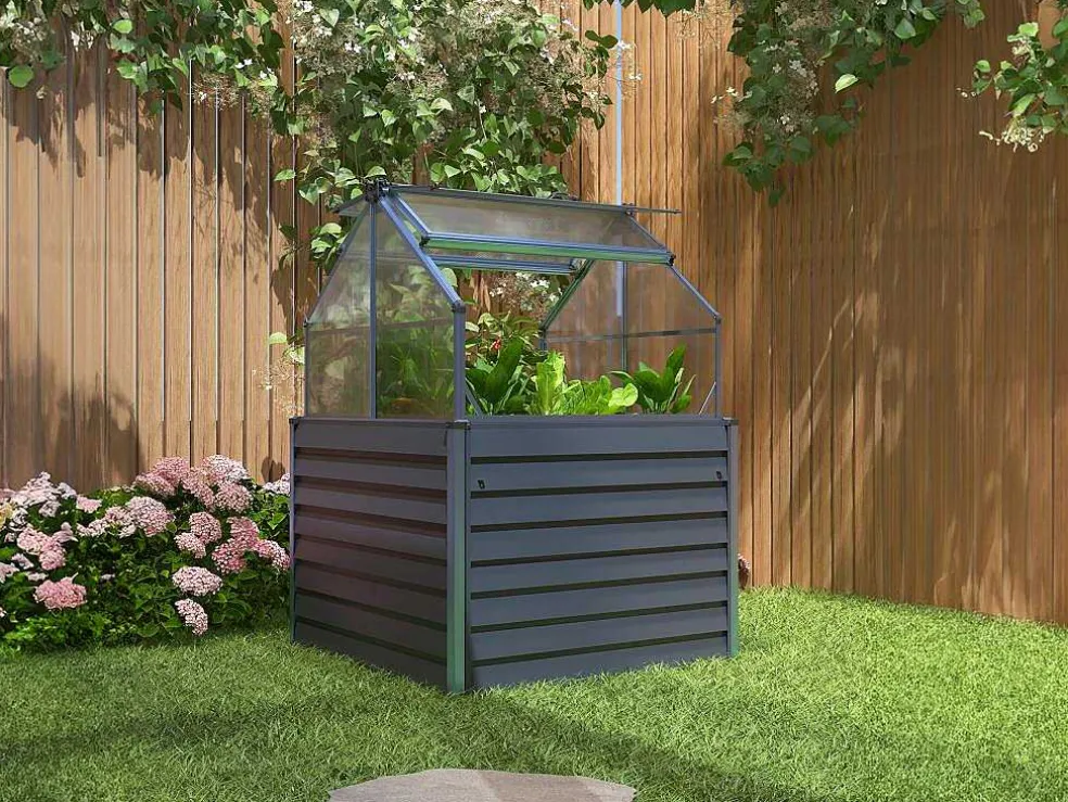 Mini-Tuinkas Van Polycarbonaat En Structuur Van Aluminium - L120 X B120 X H169 Cm - Antraciet - Genista