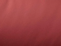 Relaxfauteuil Van Leer Aroma - Rood