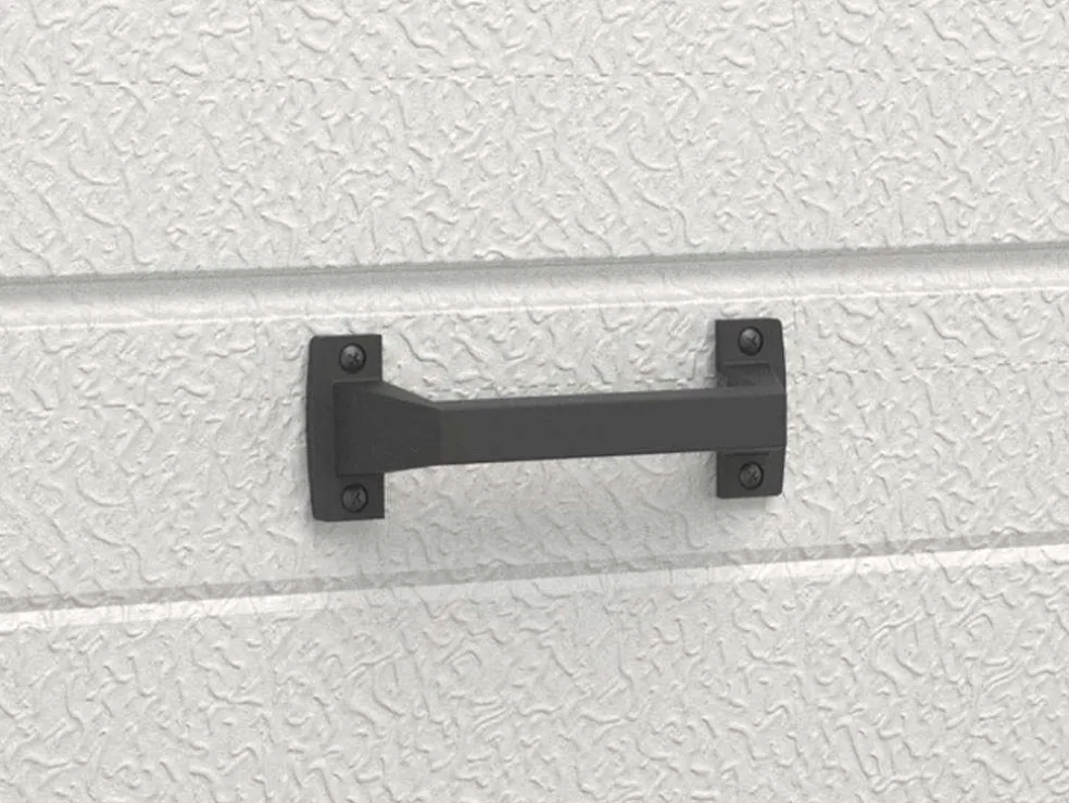 Sectionale Garagedeur Met Antraciet Cassette En Somfy Motor - Caopas