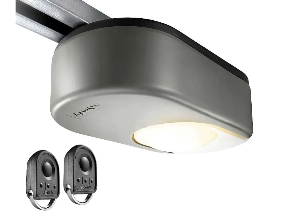 Sectionale Garagedeur Met Somfy Motor Cassette Centrale Deur Wit - Caopas