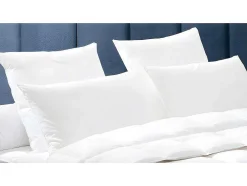 Set 2 Hoofdkussens Dodo Natuurlijke Dons Baffin - 65X65 Cm