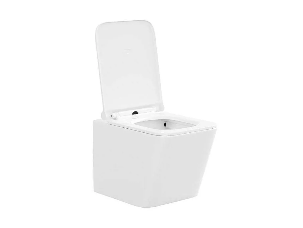 Set Voor Witte Hang-Wc Met Voorwandsysteem En Chroomkleurige Ovalen Bedieningsplaat - Clemona